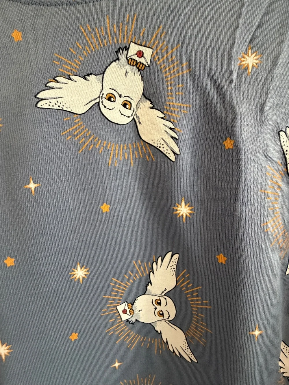 Harry Potter Hedwig Owl Pajama Set Kids 12-13 Blue PJs